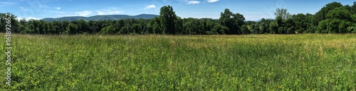 wide meadow panorama with distant mountains