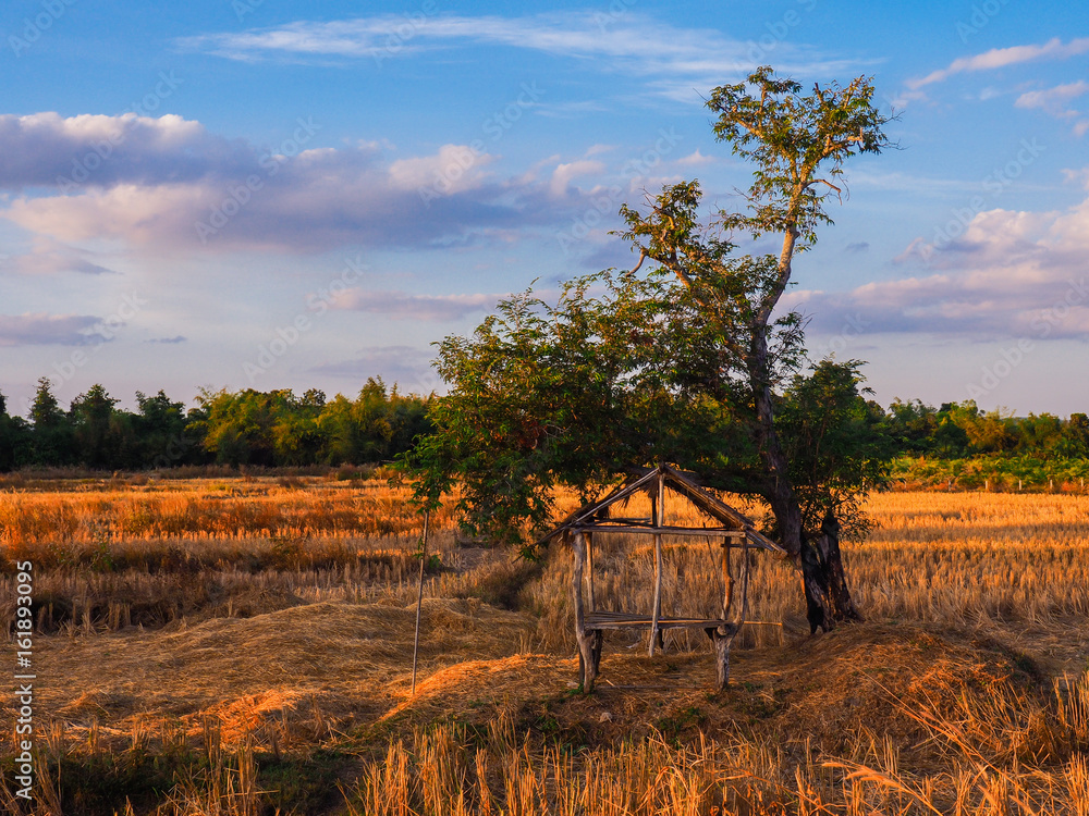 Old wooden hut on dry field in Thailand Old wooden hut on dry field in Thailand