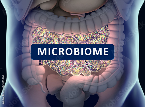 Gut bacteria , gut flora, microbiome. Bacteria inside the small intestine, concept, representation. 3D illustration. photo