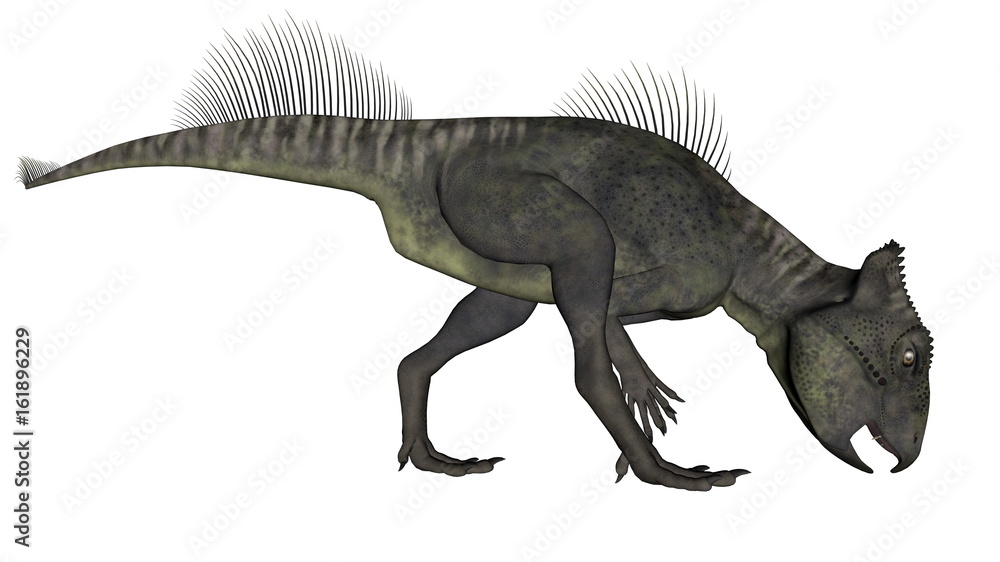 Archaeoceratops dinosaur - 3D render Archaeoceratops dinosaur - 3D render