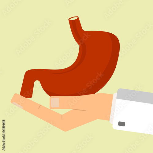 The doctor hand holding human stomach. Healthcare concept. vector illustration.