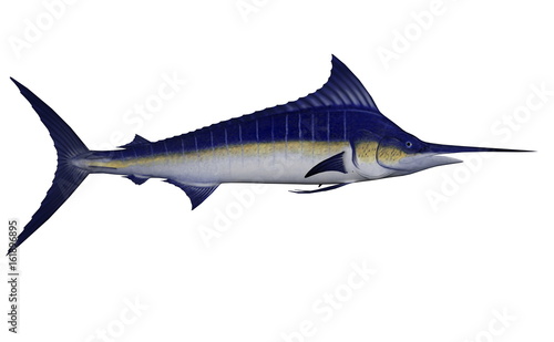 Obraz na płótnie Marlin fish - 3D render