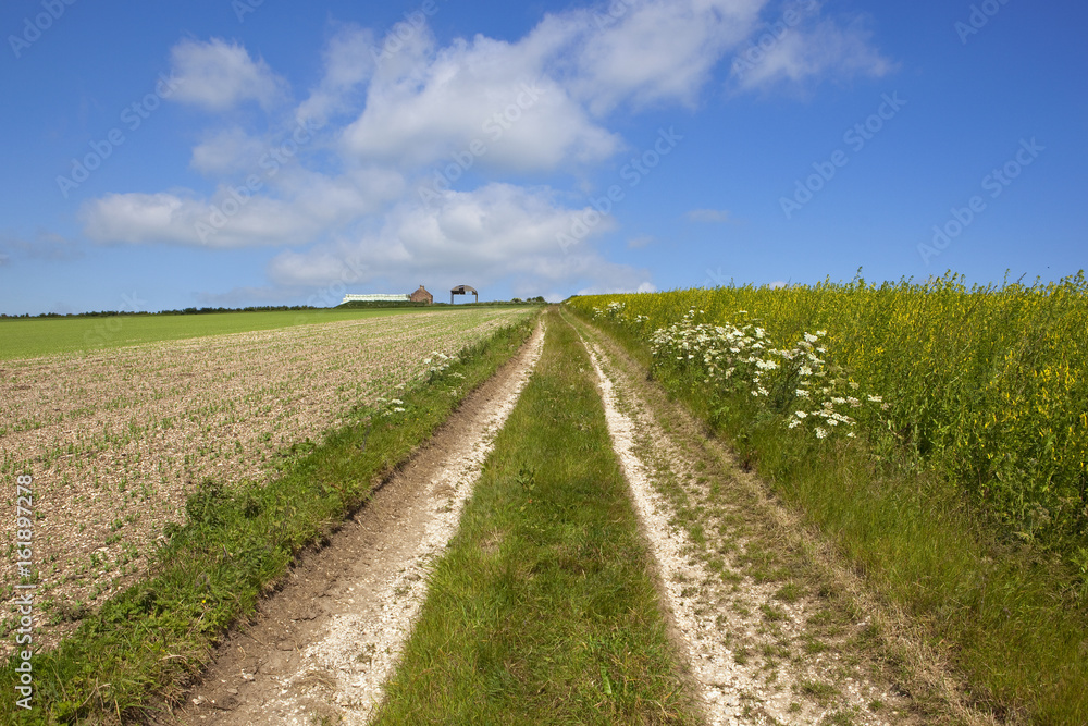 hillside farm and track