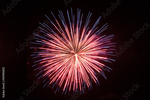 Beautiful single firework in gold and red