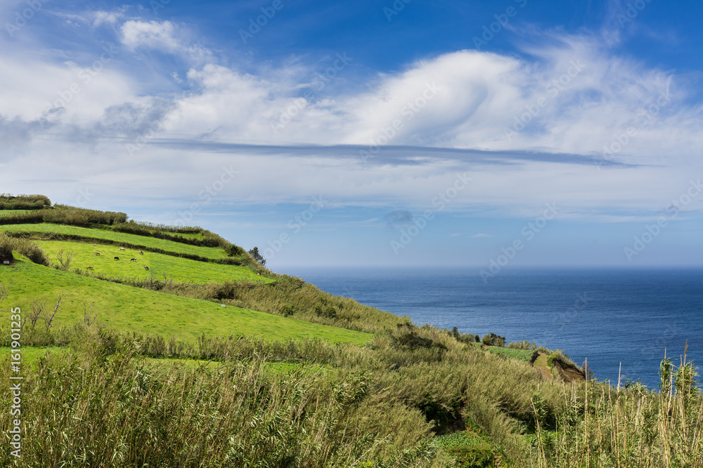 Agricultural land and pastures on northern coast Sao Miguel Island