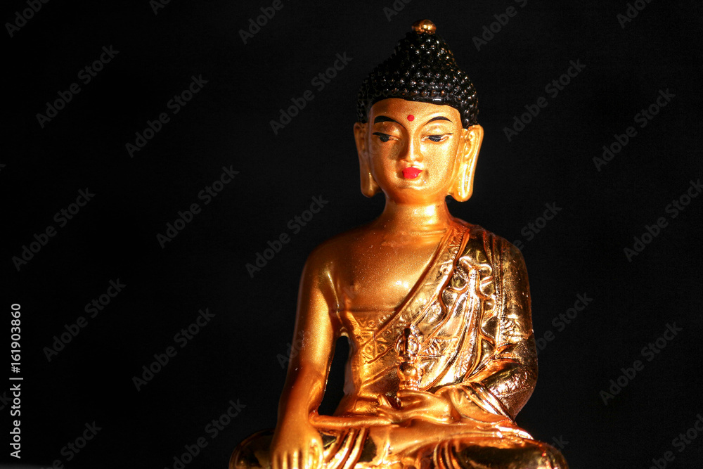 Obraz premium Lord Gautam Buddha