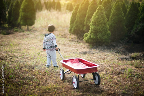 little boy with red wagon photo