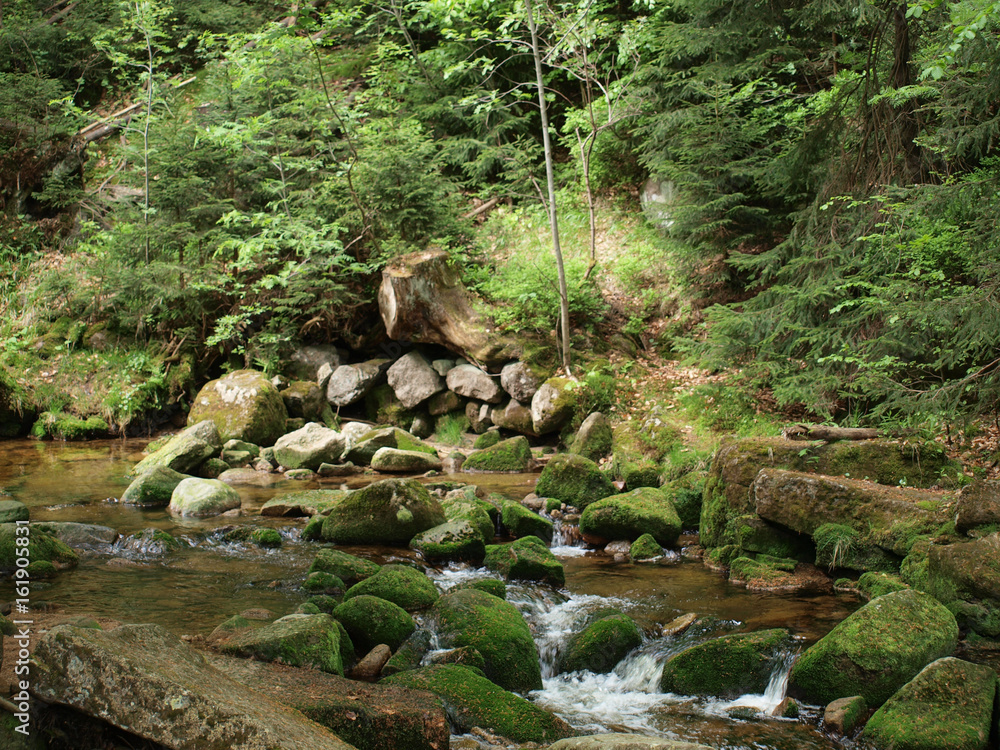 Mountain stream