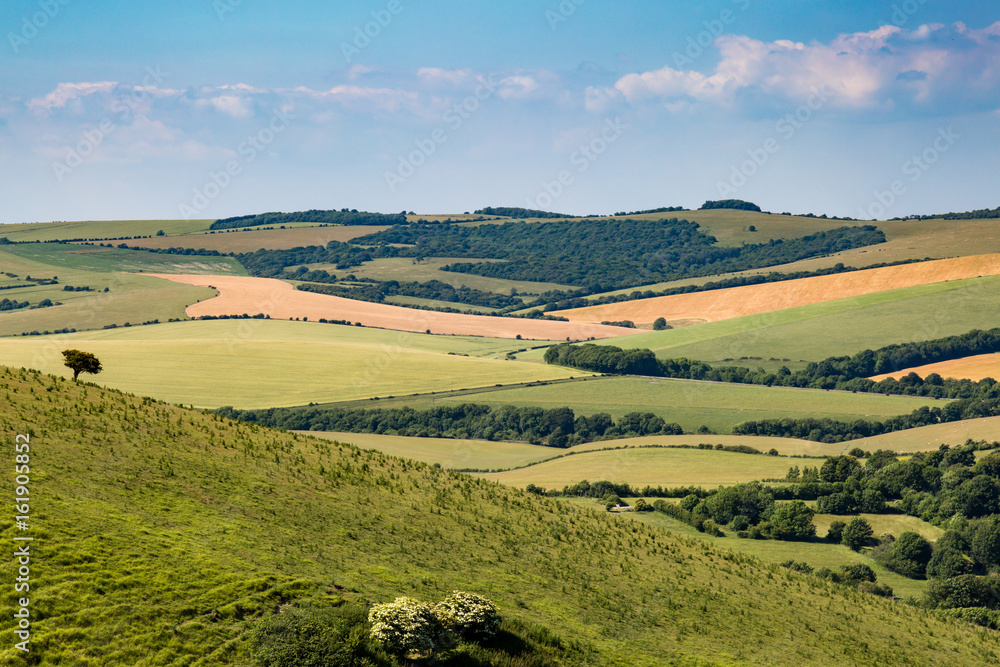 Along the South Downs Way, Sussex