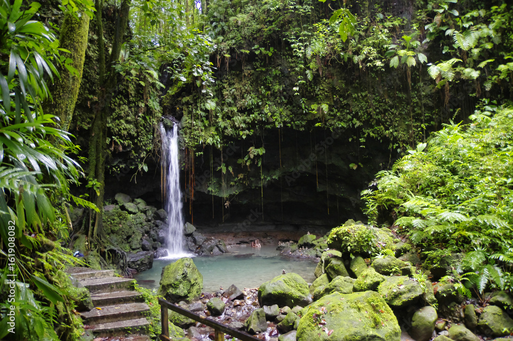 Fototapeta premium The Emerald Pool. Central Forest Reserve. Dominca island, Lesser Antilles