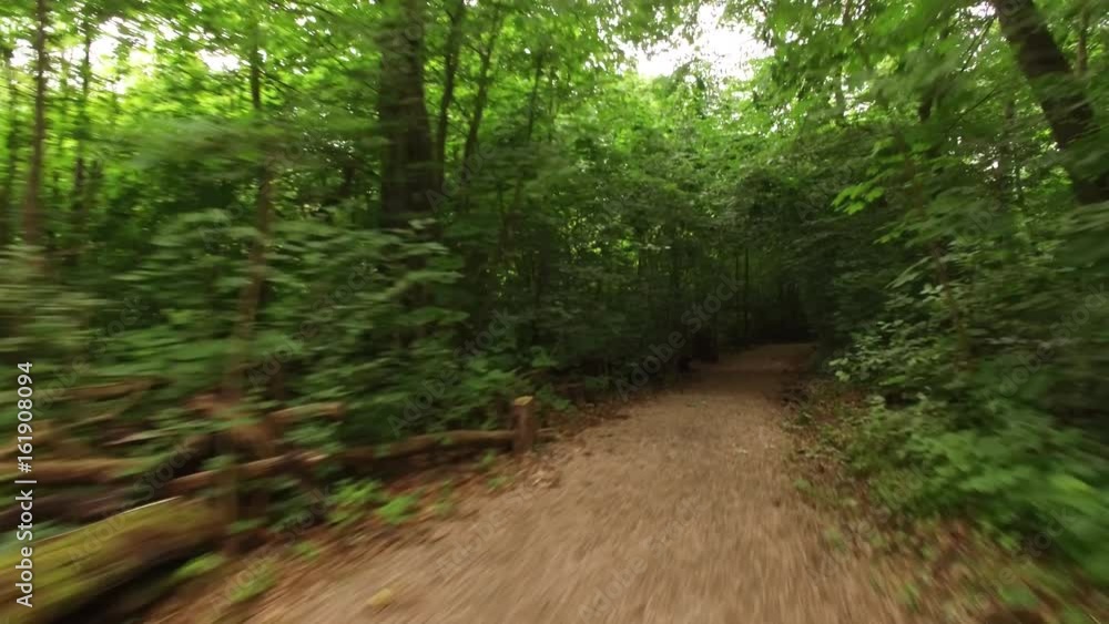 Aerial flight following track in the woods. Flying through green forest Aerial flight following track in the woods. Flying through green forest