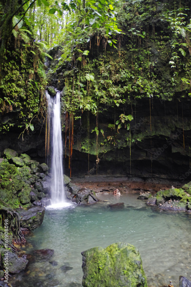 Naklejka premium The Emerald Pool. Central Forest Reserve. Dominca island, Lesser Antilles
