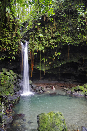 Fototapeta Naklejka Na Ścianę i Meble -  The Emerald Pool. Central Forest Reserve. Dominca island, Lesser Antilles