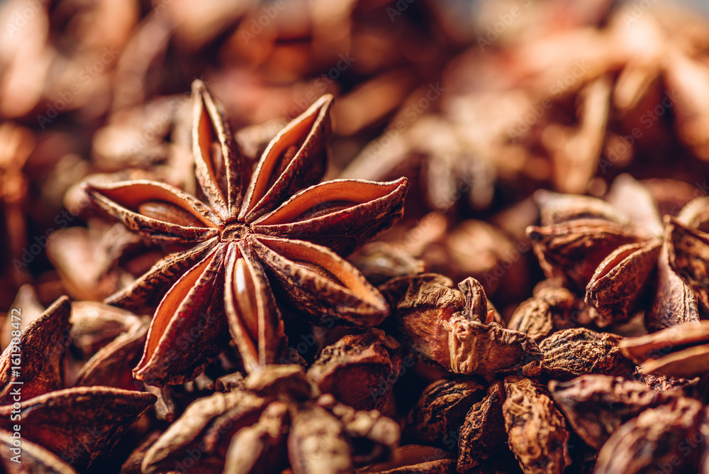 Background of Star Anise Fruits and Seeds. Background of Star Anise Fruits and Seeds.