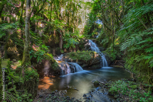 Waterfall in Hawaii Tropical Botanical Garden