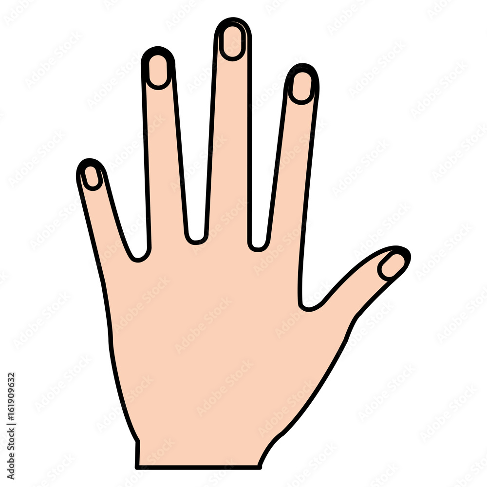 Fototapeta premium hand human open icon vector illustration design