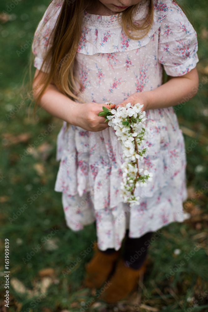 Young girl holding branch of cherry blossom, three quarter length Young girl holding branch of cherry blossom, three quarter length