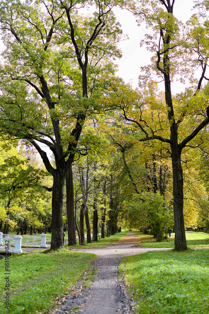 Picturesque views of the Alexander Park in the city of Pushkin in the golden autumn. Tsarskoe Selo, St. Petersburg, Russia. Picturesque views of the Alexander Park in the city of Pushkin in the golden autumn. Tsarskoe Selo, St. Petersburg, Russia.
