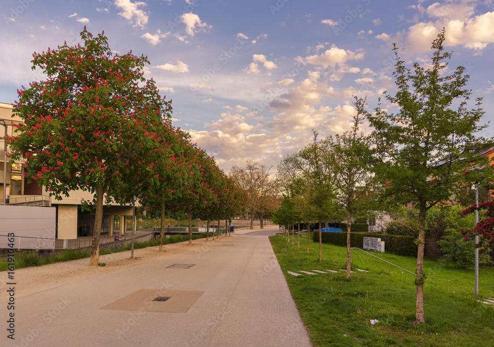 Obraz premium Ein morgendlicher Spaziergang durch den Park