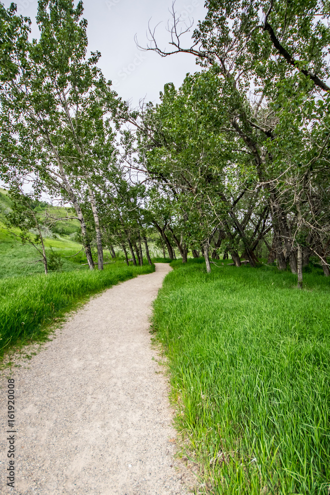 Glenbow Ranch Provincial Park, Calgary, Alberta, Canada