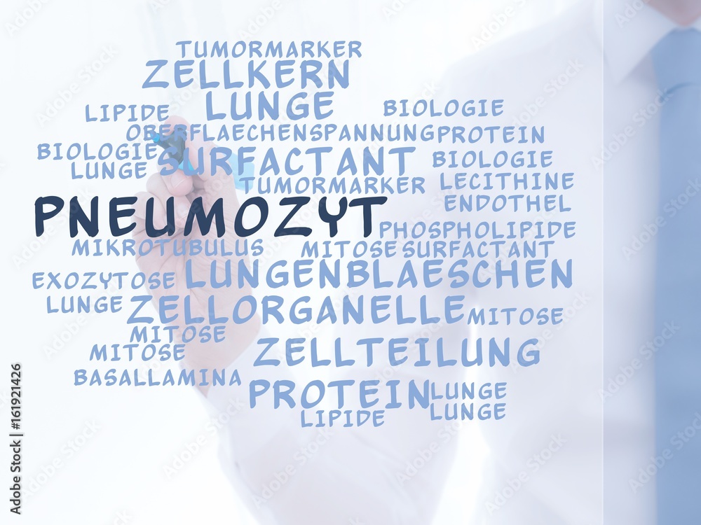 Pneumozyt