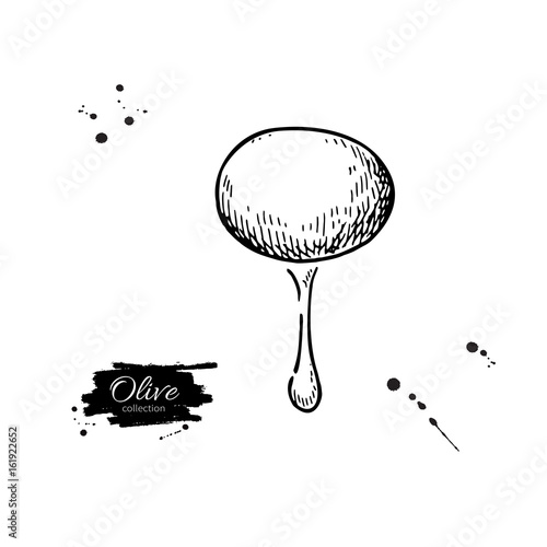 Olive with oil drop. Hand drawn vector illustration. Isolated drawing on white background.