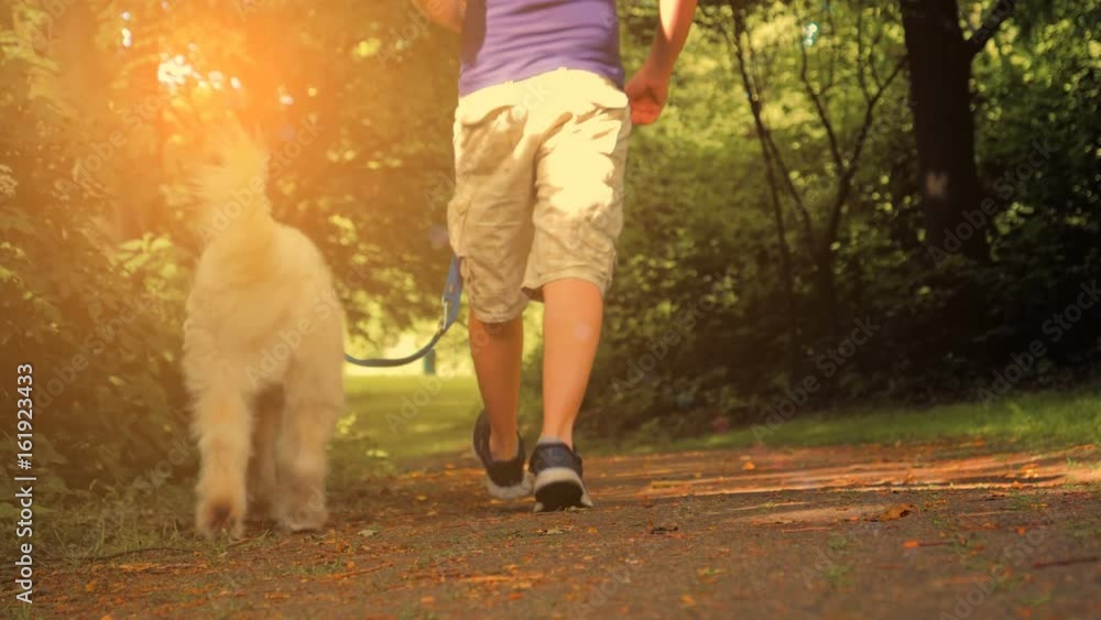 Men walking with a dog in park. Toned sunset Men walking with a dog in park. Toned sunset