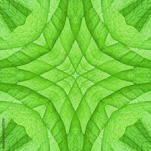 Seamless pattern of leaves for background