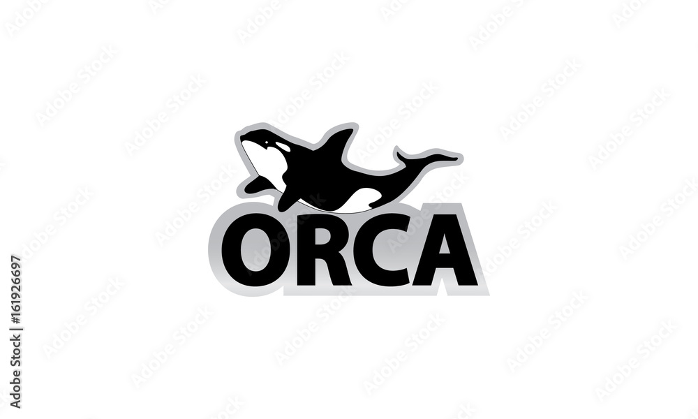 Obraz premium orca02