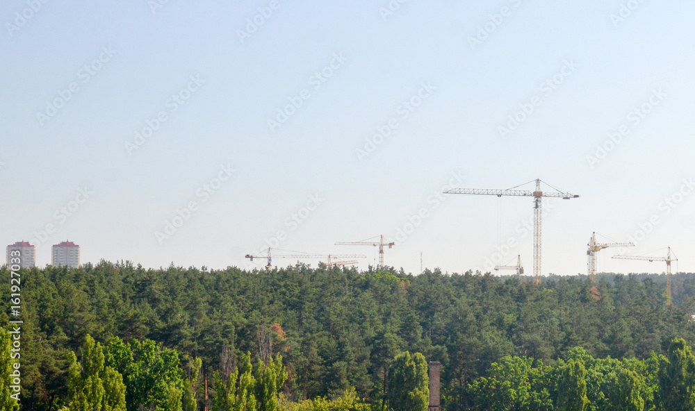 Forest and construction