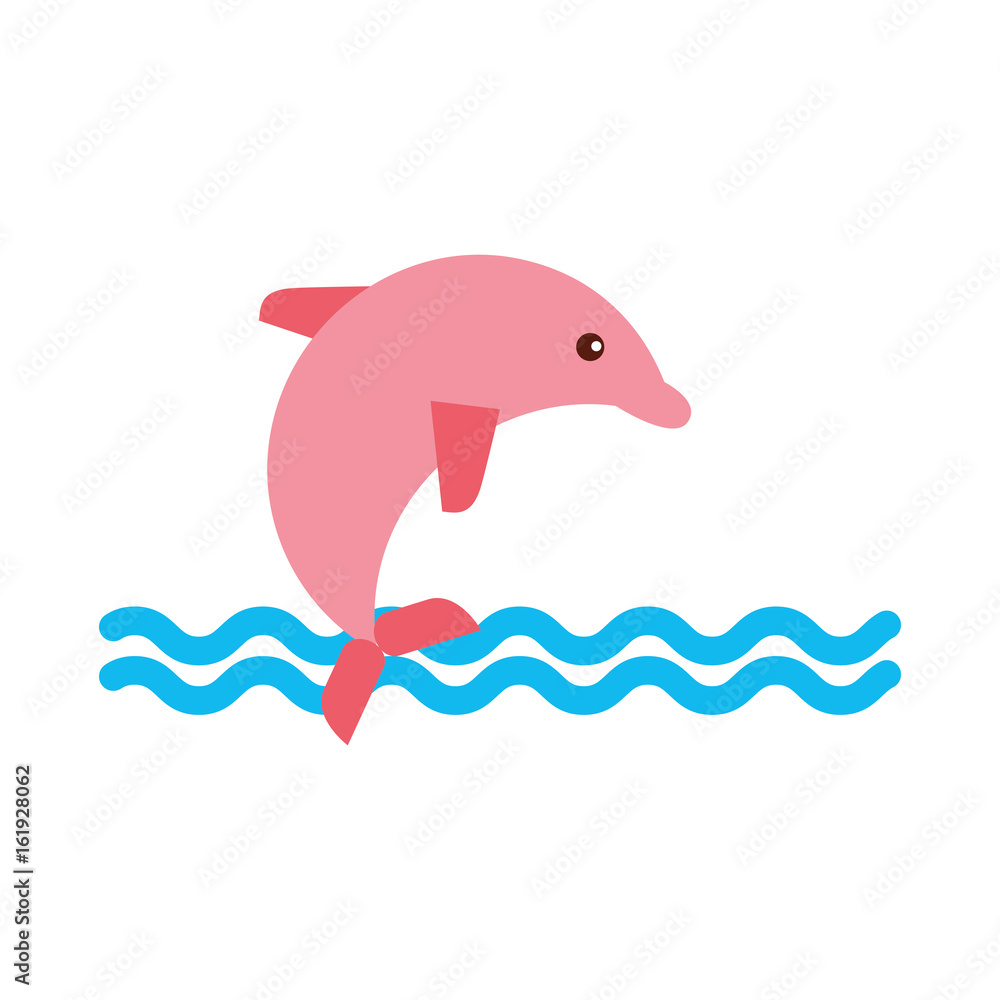 Obraz premium cute dolphin isolated icon vector illustration design
