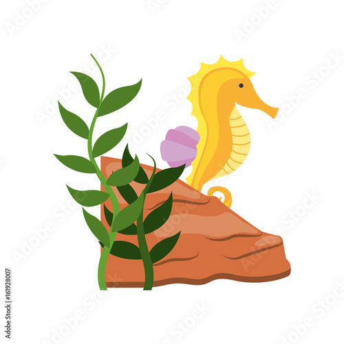 cute seahorse isolated icon vector illustration design