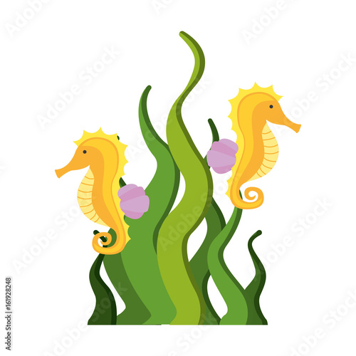 cute seahorse isolated icon vector illustration design