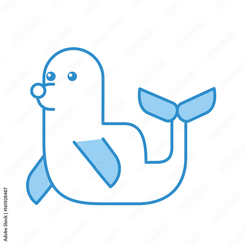 cute seal isolated icon vector illustration design cute seal isolated icon vector illustration design