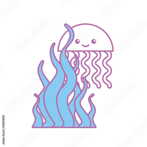 cute jellyfish with seaweed sealife icon vector illustration design