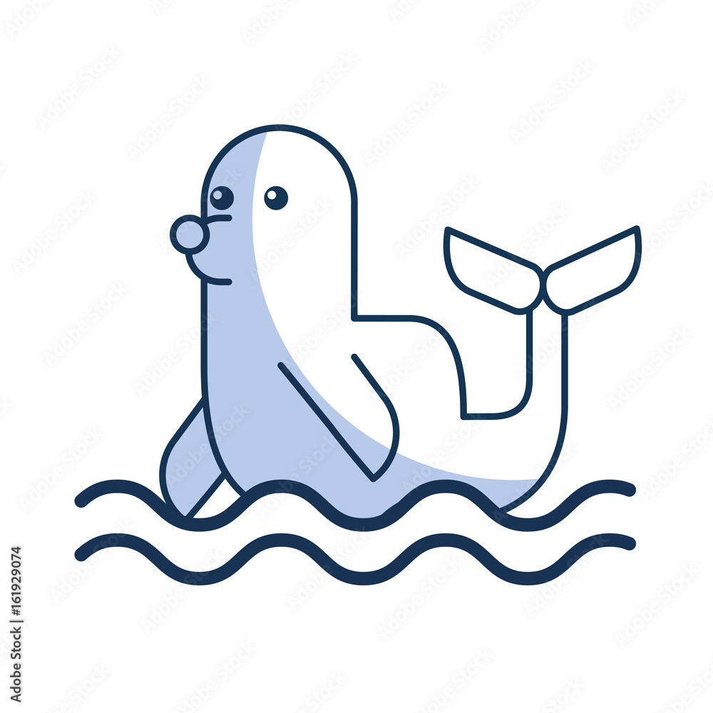 cute seal isolated icon vector illustration design cute seal isolated icon vector illustration design