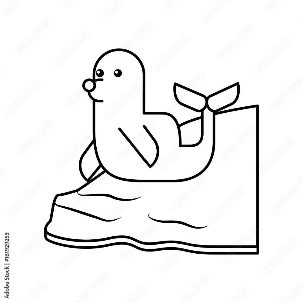 cute seal isolated icon vector illustration design cute seal isolated icon vector illustration design