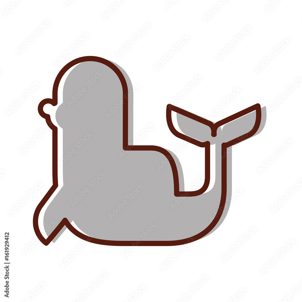 cute seal isolated icon vector illustration design cute seal isolated icon vector illustration design