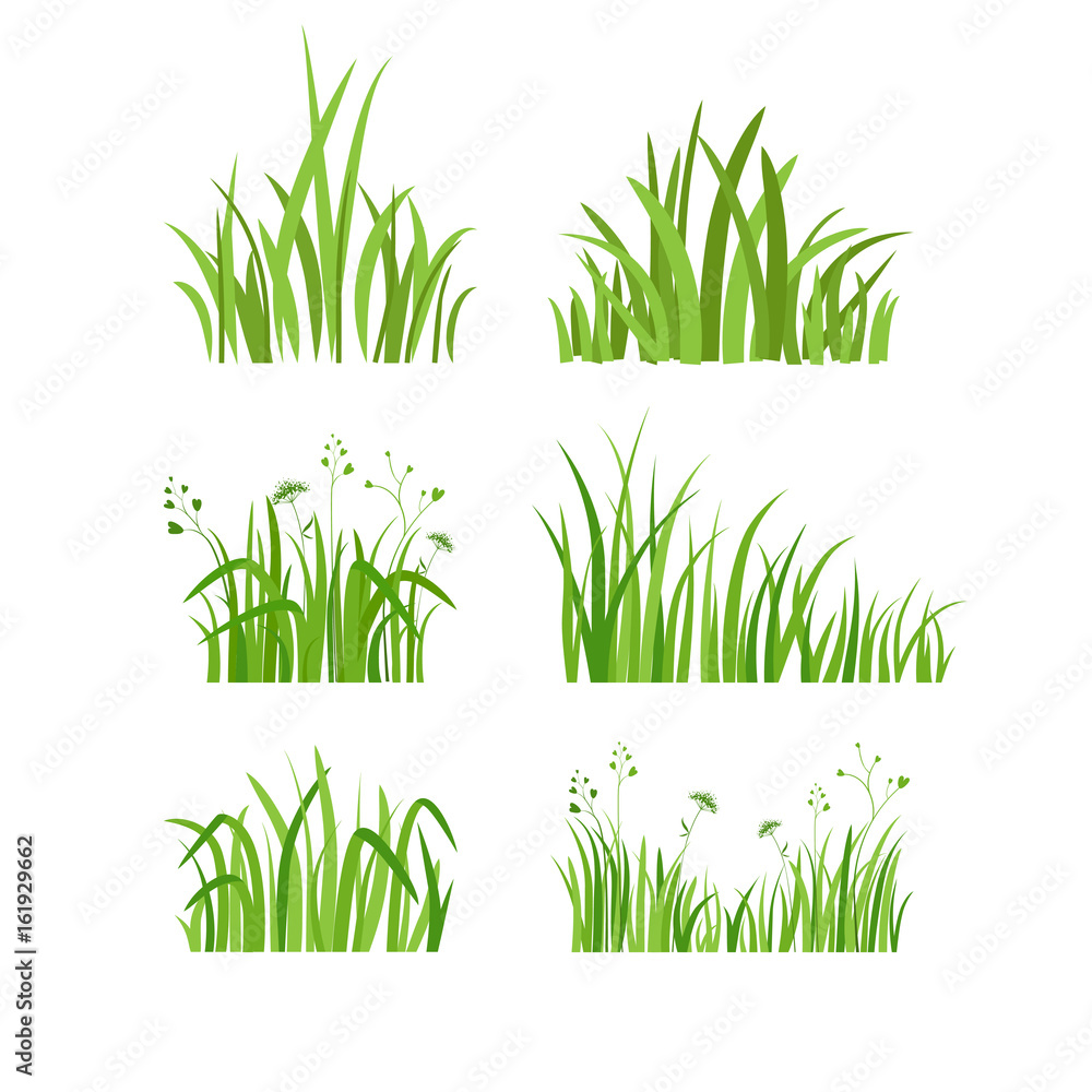 Green grass set - obrazy, fototapety, plakaty 