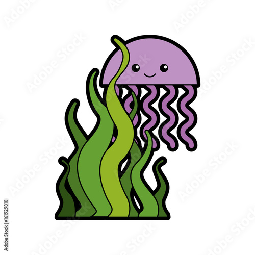 cute jellyfish sealife icon vector illustration design