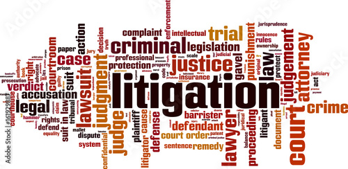 Litigation word cloud