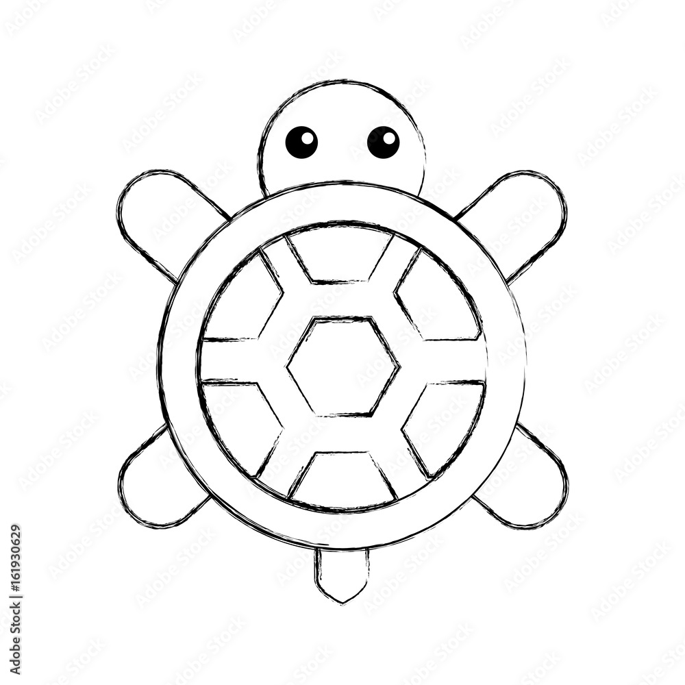 Obraz premium cute turtle isolated icon vector illustration design
