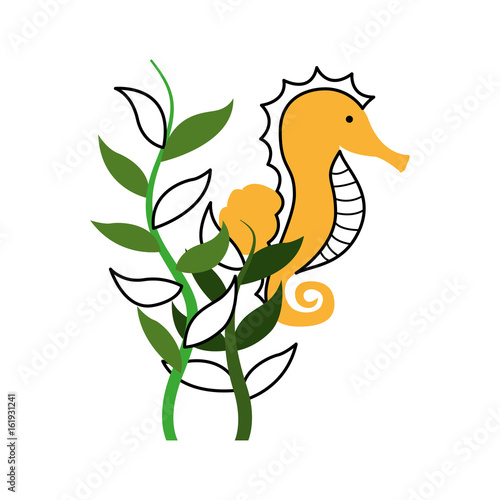 cute seahorse isolated icon vector illustration design