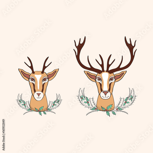 Fototapeta Naklejka Na Ścianę i Meble -  Decorative deer graphic hand drawn vector cartoon doodle illustration with bouquet holly, wild animal with curved horns isolated mascot head, Character design for greeting card, logo icon, baby shower