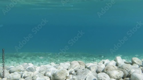 Many Little Gray Fish and Bill-Fish Swim in Blue Water Stony Coast Mediterranean Sea photo