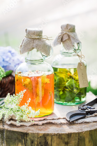 Clouseup of herbs in bottles as natural medicine