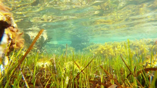 Seacoast With Algae Raies of Sun Play on Surface of Blue Water Mediterranean Sea photo