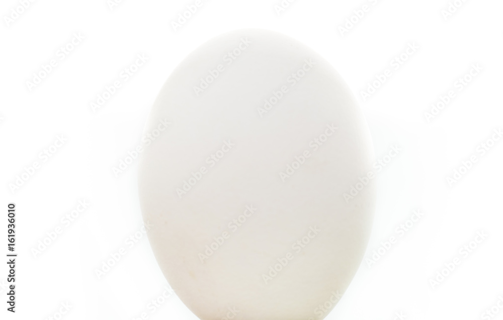 White egg isolated on white