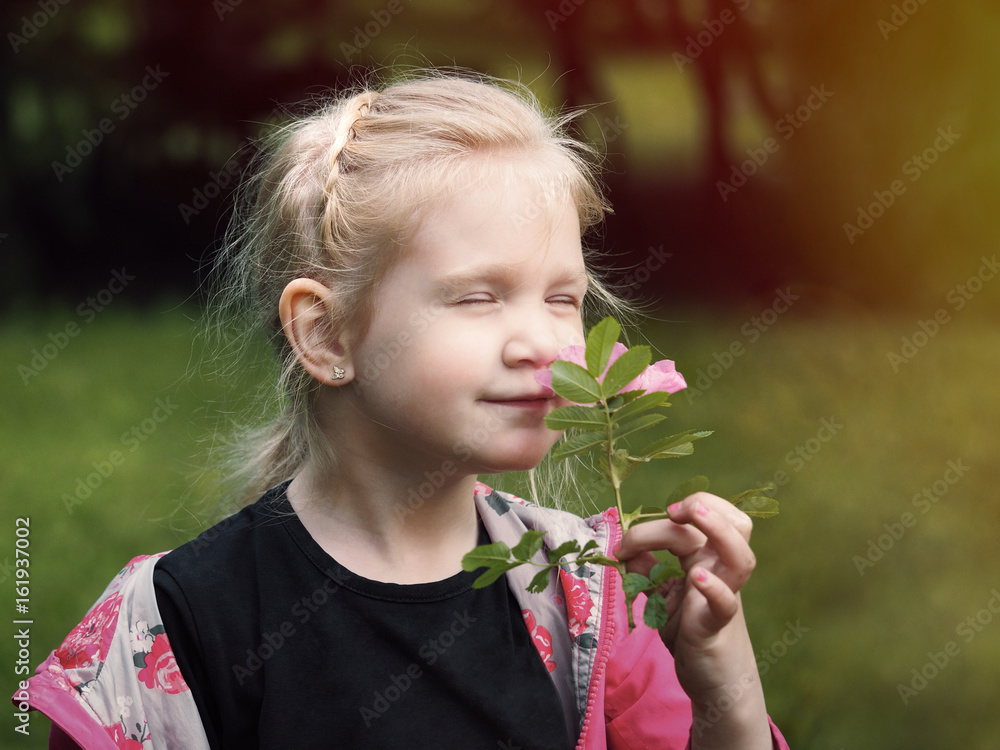 The child enjoys the fragrance of a flower. Girl sniffing a wild rose in nature. Sunlight
