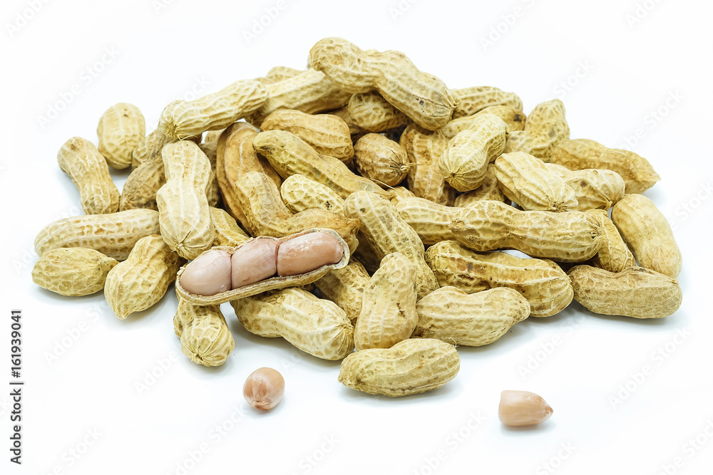 Boiled peanut on white background Boiled peanut on white background